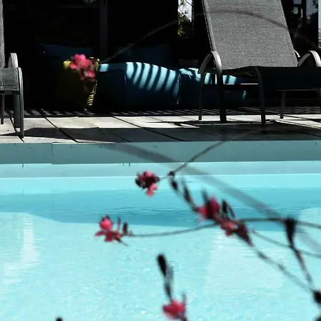 Your Perfect In Sani Villa Sani (Chalkidiki)